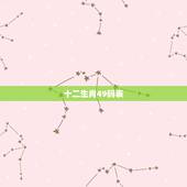 十二生肖49码表，十二生肖数字表