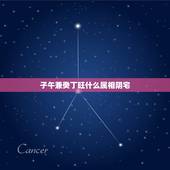 子午兼癸丁旺什么属相阴宅，怎样布置一个好的阴宅
