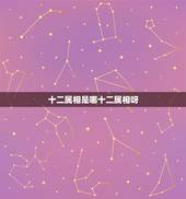 十二属相是哪十二属相呀，十二生肖是哪十二种动物