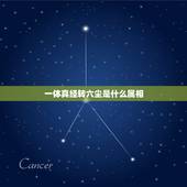 一体真经转六尘是什么属相，真经转六尘猜一生肖