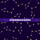 龙虎属相婚配会影响家庭吗，龙虎婚配真的就不会幸福么？（希望知道的帮一下