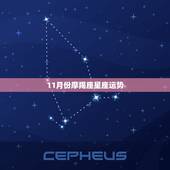 11月份摩羯座星座运势，摩羯座的性格、运势分析！谁能告诉我？