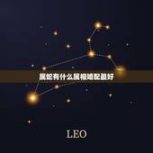 属蛇有什么属相婚配最好，属蛇的找什么属相对他最好