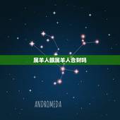 属羊人跟属羊人合财吗，属羊的跟属牛的合财吗