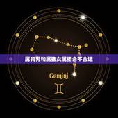 属狗男和属猪女属相合不合适，属狗男和属猪女配吗？