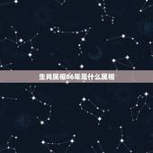 生肖属相86年是什么属相，1986年属什么生肖？今年多大？