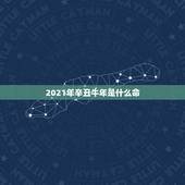 2021年辛丑牛年是什么命，2021年是辛丑牛年吗