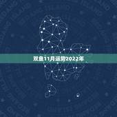 双鱼11月运势2022年，双鱼座十一月份的运势怎么样
