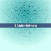 宫女的招财是哪个部位，古代招财是女人哪个器官