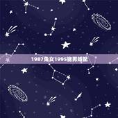 1987兔女1995猪男婚配，1981国语