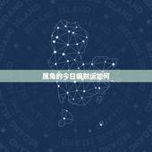 属兔的今日偏财运如何，属兔的人，今年运势如何