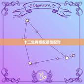 十二生肖婚配最佳配对，十二生肖男女最佳配对