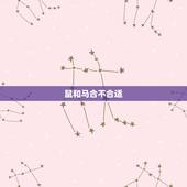 鼠和马合不合适，鼠和马做生意合不合财