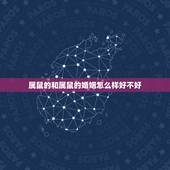 属鼠的和属鼠的婚姻怎么样好不好，属鼠和属马的婚姻如何