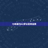 78年属马42岁以后财运男，大家晚上好，请高人看看我的八字最近几年的运