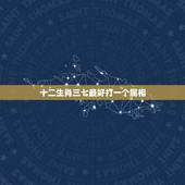 十二生肖三七最好打一个属相，十二生肖，三七最好猜一生肖