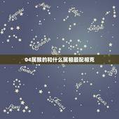 04属猴的和什么属相最配相克，属猴和什么属相相冲