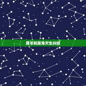 属羊和属兔天生纠缠，虎和兔合不合适婚姻