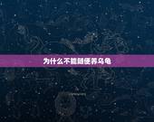 为什么不能随便养乌龟，家庭不能养乌龟吗