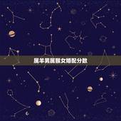 属羊男属猴女婚配分数，属羊男和属猴女婚姻好吗