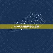 dhl不交关税有什么后果，dhl不交关税有什么后果