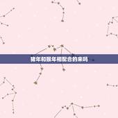 猪年和猴年相配合的来吗，猪年出生的和猴年出生的在一起