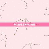 办公室适合养什么绿植，办公室适合放什么植物？