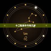 十二生肖牛今年几岁，12生肖岁年龄表