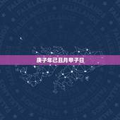 庚子年己丑月甲子日，2022 庚子流年伏吟时柱