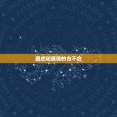 属虎和属狗的合不合，属虎与属狗相配吗？