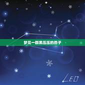 梦见一群黑压压的燕子，梦见黑压压的一群燕子飞