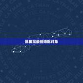 属相鼠最佳婚配对象，男属狗和女属鼠相配婚姻如何