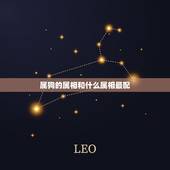属狗的属相和什么属相最配，属狗的男人和什么属相最配？
