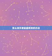 怎么消灭老鼠最有效的办法，弄死老鼠更好的办法