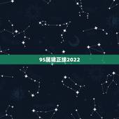95属猪正缘2022，95年属猪女2022年的运势
