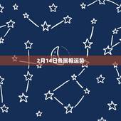 2月14日各属相运势，2008年生肖属蛇的运程-1989年2月14日