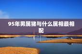 95年男属猪与什么属相最相配，95年属猪的和什么属相最配？