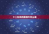 十二生肖的属相牛怎么画，十二生肖绘画怎么画