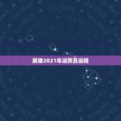 属猪2021年运势及运程，属猪今年运势2021年运势