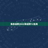 兔年运势2022年运势12生肖，兔生肖财运2022