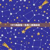 1975每属兔一生有二婚商标花，1975年属兔的终身幸运色？