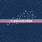 十二生肖2022年12月运势，2022年12生肖运势解析