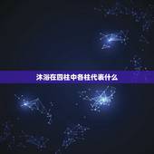 沐浴在四柱中各柱代表什么，免费生辰八字五行查询