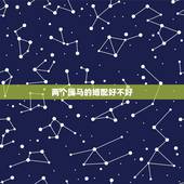 两个属马的婚配好不好，属马和属马相配好不好