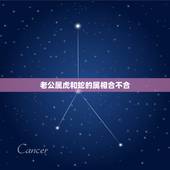 老公属虎和蛇的属相合不合，属虎和属蛇命合不合