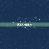 属鼠人5月运势，2017年属鼠人的全年运势