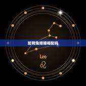 蛇和兔婚姻相配吗，家里有属蛇和属兔的好不好