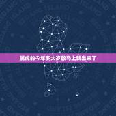 属虎的今年多大岁数马上就出来了，属虎的今年多大了2022