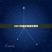 2001年属蛇姻缘在哪年，2001年属蛇女和1999年属兔男婚姻