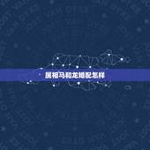 属相马和龙婚配怎样，属马的人适合和什么属相的人结婚